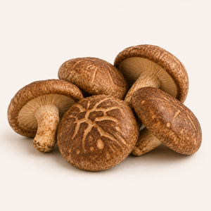 Shiitake