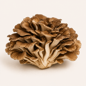 Maitake